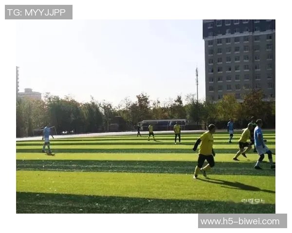 精彩纷呈的足球小说推荐榜单让你领略绿茵场上的激情与梦想