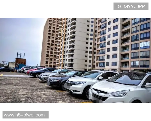 虹口足球场周边停车攻略轻松找到最佳停车位的方法与建议